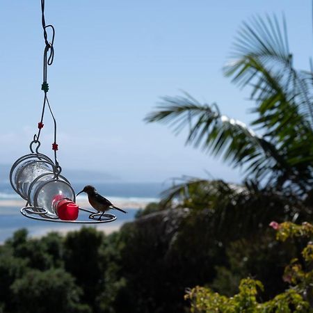 Room with a View Plettenberg Bay Zewnętrze zdjęcie
